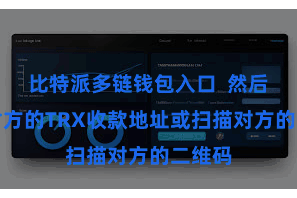 比特派多链钱包入口 然后输入对方的TRX收款地址或扫描对方的二维码