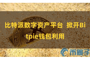 比特派数字资产平台 掀开Bitpie钱包利用