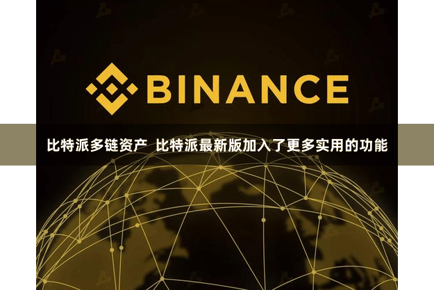 比特派多链资产 比特派最新版加入了更多实用的功能