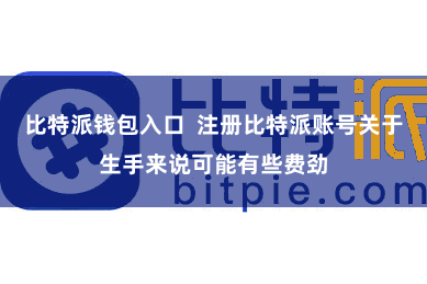 比特派钱包入口 注册比特派账号关于生手来说可能有些费劲