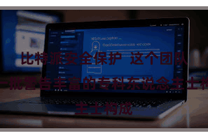 比特派安全保护  这个团队由一批警告丰富的专科东说念主士构成