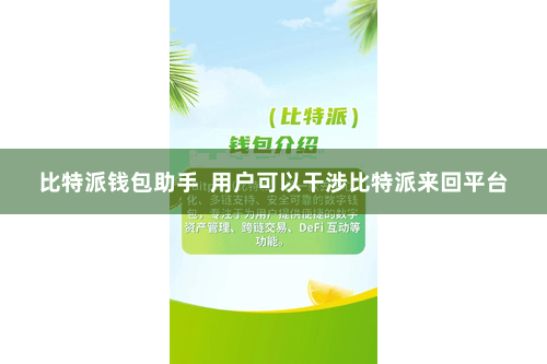 比特派钱包助手  用户可以干涉比特派来回平台