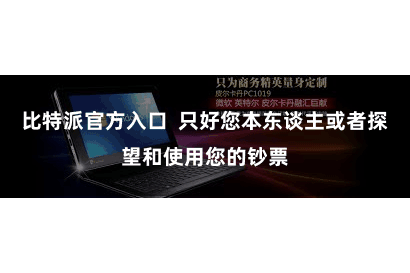 比特派官方入口  只好您本东谈主或者探望和使用您的钞票