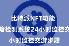 比特派NFT功能  智能风险检测系统24小时监控交游步履