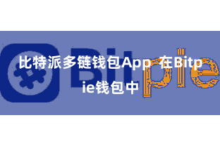 比特派多链钱包App  在Bitpie钱包中