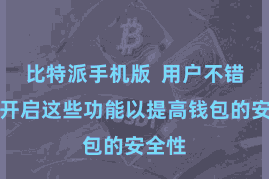 比特派手机版  用户不错聘请开启这些功能以提高钱包的安全性