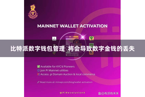 比特派数字钱包管理  将会导致数字金钱的丢失