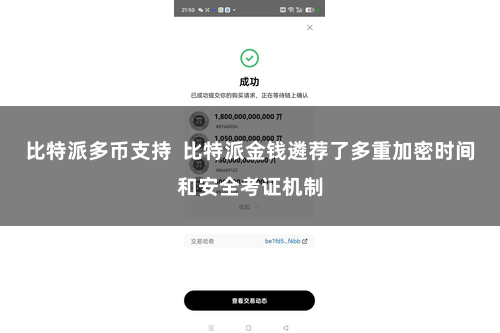 比特派多币支持  比特派金钱遴荐了多重加密时间和安全考证机制